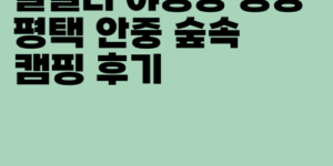 갈릴리 야영장 명당 평택 안중 숲속 캠핑 후기