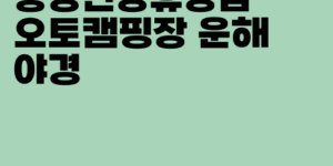 동강전망휴양림 오토캠핑장 운해 야경