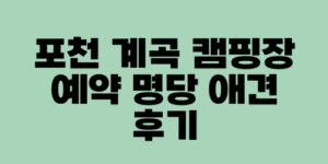 포천 계곡 캠핑장 예약 명당 애견 후기