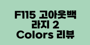 F115 고아웃백 라지 2 Colors 리뷰