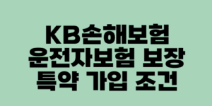 KB손해보험 운전자보험 보장 특약 가입 조건