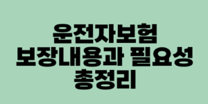 운전자보험 보장내용과 필요성 총정리