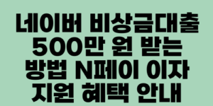 네이버 비상금대출 500만 원 받는 방법 N페이 이자 지원 혜택 안내